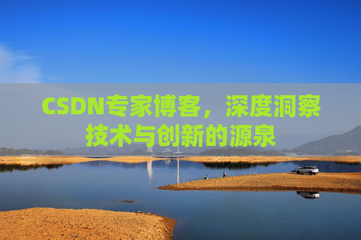 CSDN专家博客，深度洞察技术与创新的源泉